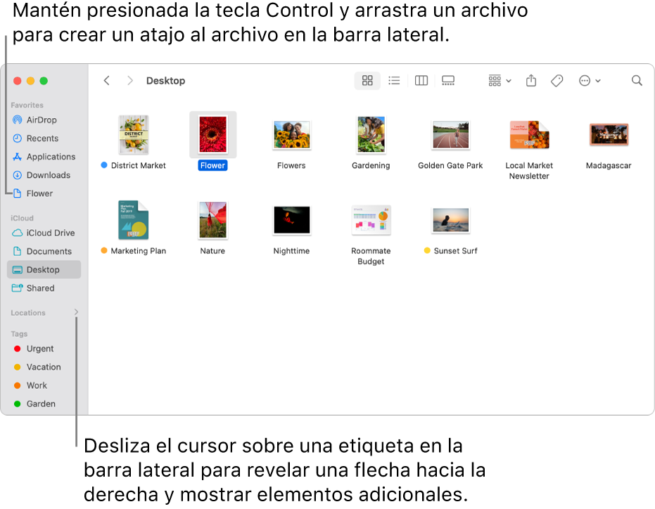 Del lado derecho de Ubicaciones en la barra lateral del Finder hay una flecha para hacer clic y mostrar elementos adicionales. En la ventana derecha del Finder, se selecciona un archivo y hay un atajo al archivo en la barra latera, debajo de Favoritos.