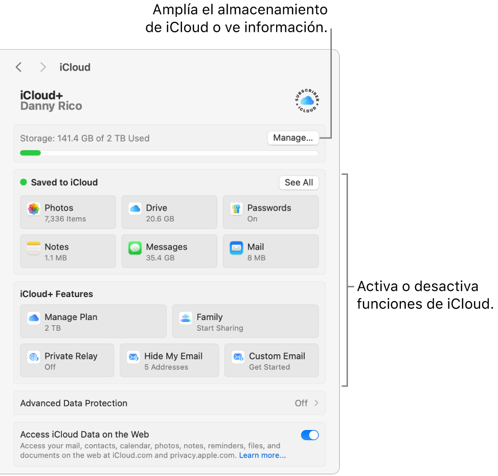 La configuración de iCloud con todas las funciones activadas.