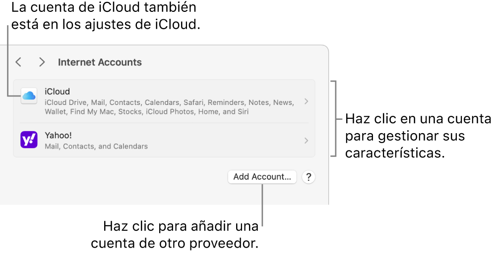 Ajustes de las cuentas de internet con una lista de las cuentas que se hayan configurado en el Mac.