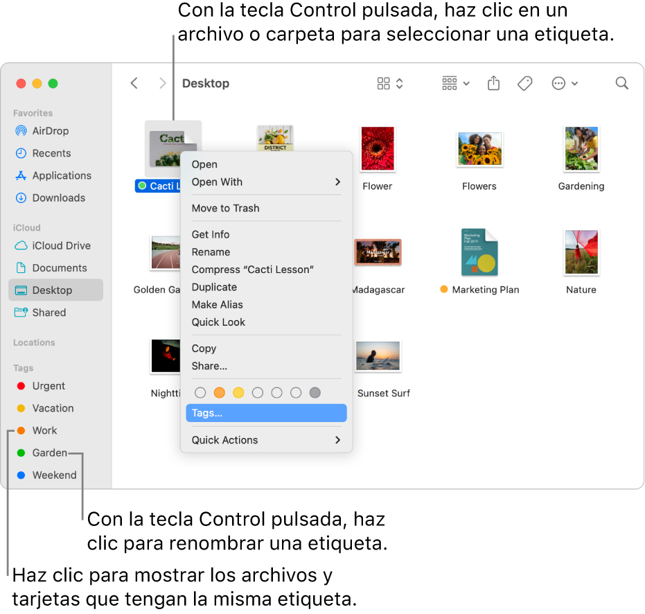 Una ventana del Finder que contiene archivos y carpetas etiquetados, con un archivo seleccionado. En el menú de atajos hay opciones de color para las etiquetas y está resaltada la opción Etiquetas.