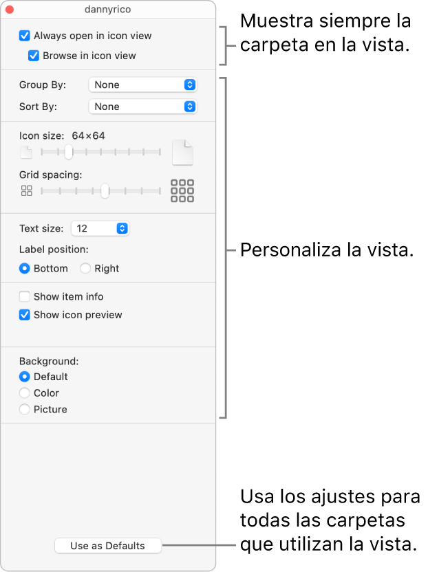 Opciones de visualización de los iconos de una carpeta.