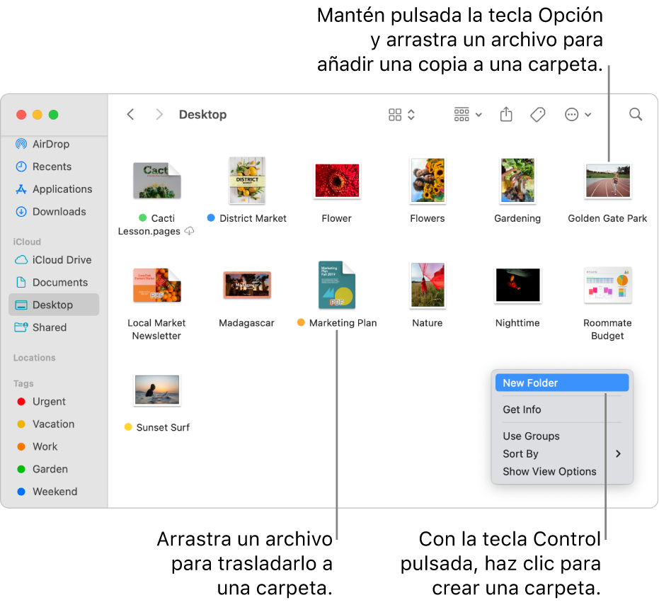 Una ventana del Finder que contiene archivos y carpetas. En el menú de atajos está seleccionado el comando “Nueva carpeta”.