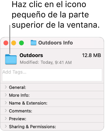 La ventana de información de una carpeta, con el icono genérico de la carpeta seleccionada.