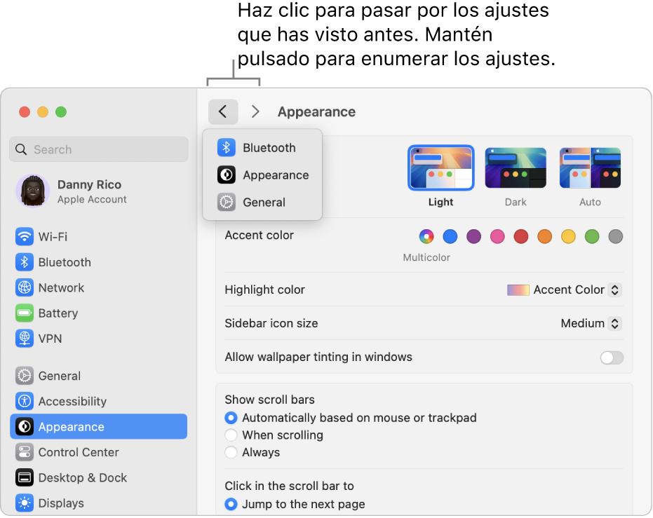 La ventana Ajustes del Sistema mostrando los ajustes vistos recientemente debajo del botón Atrás.