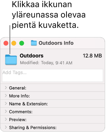 Kansion Tiedot-ikkuna, jossa näkyy kansion yleinen kuvake valittuna.