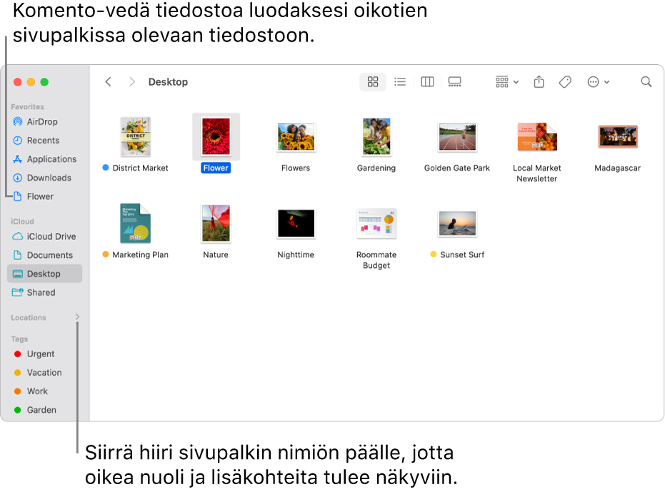 Sijainnit-kohdan oikealle puolella Finderin sivupalkissa on nuoli, jota klikkaamalla näkyviin tulee lisää kohteita. Finder-ikkunassa oikealla on valittuna tiedosto, ja sivupalkissa on oikotie tiedostoon Suosikit-kohdan alla.