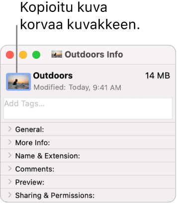 Kansion Tiedot-ikkuna, jossa näkyy yleinen kuvake korvattuna kuvalla.