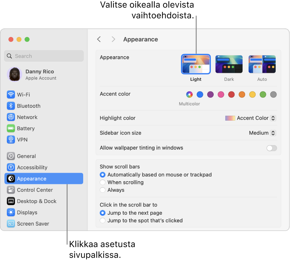 Järjestelmäasetukset-ikkuna, jossa on valittuna sivupalkissa Ulkoasu-asetukset ja oikealla näkyvät Ulkoasu-valinnat.