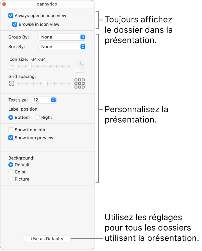 Options de présentation d’un dossier par icônes.