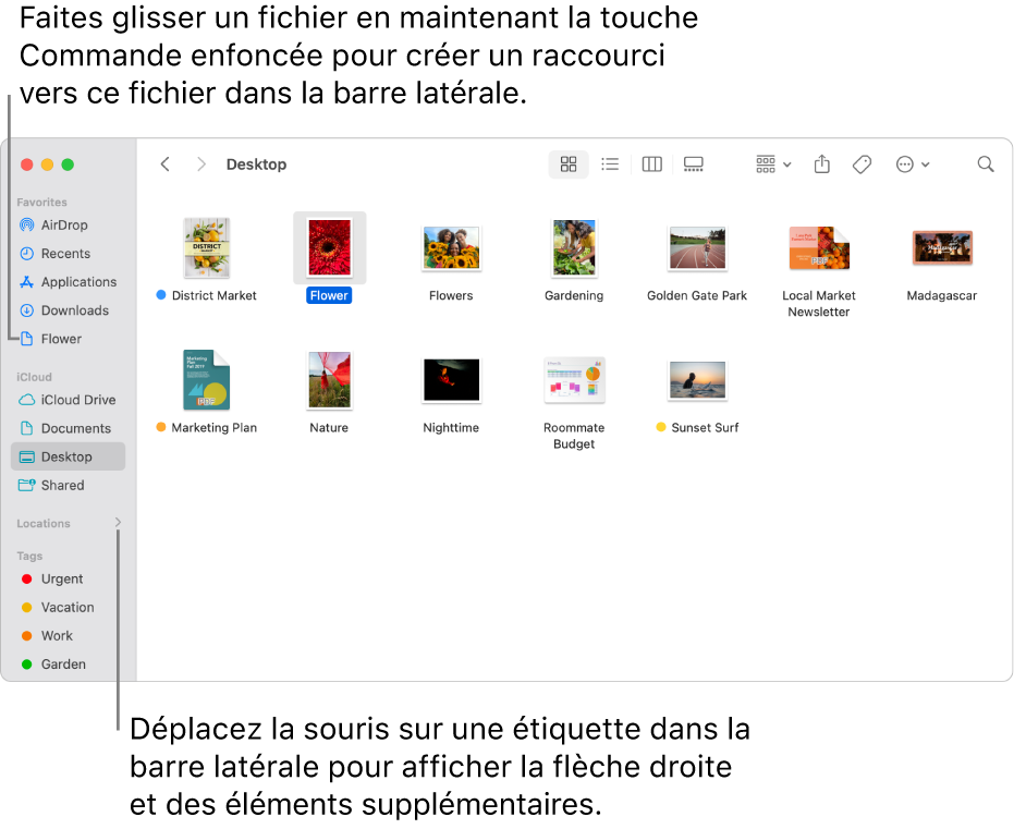 Une flèche sur laquelle vous pouvez cliquer pour afficher d’autres éléments se trouve à droite d’Emplacements dans la barre latérale du Finder. Dans la fenêtre du Finder à droite, un fichier est sélectionné et un raccourci vers ce fichier se trouve dans la barre latérale, sous les Favoris.