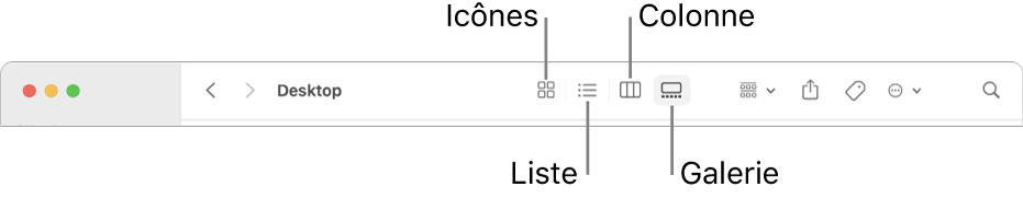La partie supérieure d’une fenêtre du Finder, avec les boutons d’options de présentation pour un dossier.