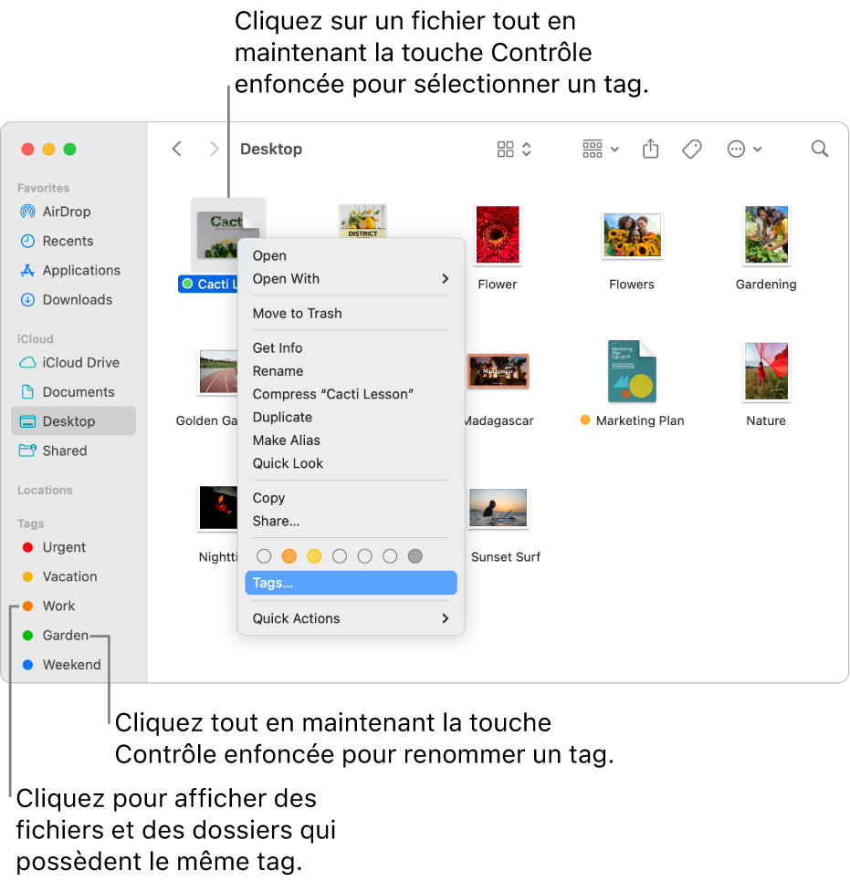 Une fenêtre du Finder contenant des fichiers et dossiers associés à des tags, avec un fichier sélectionné. Différents choix de couleur sont proposés pour les tags dans le menu contextuel, et Tags est surligné.