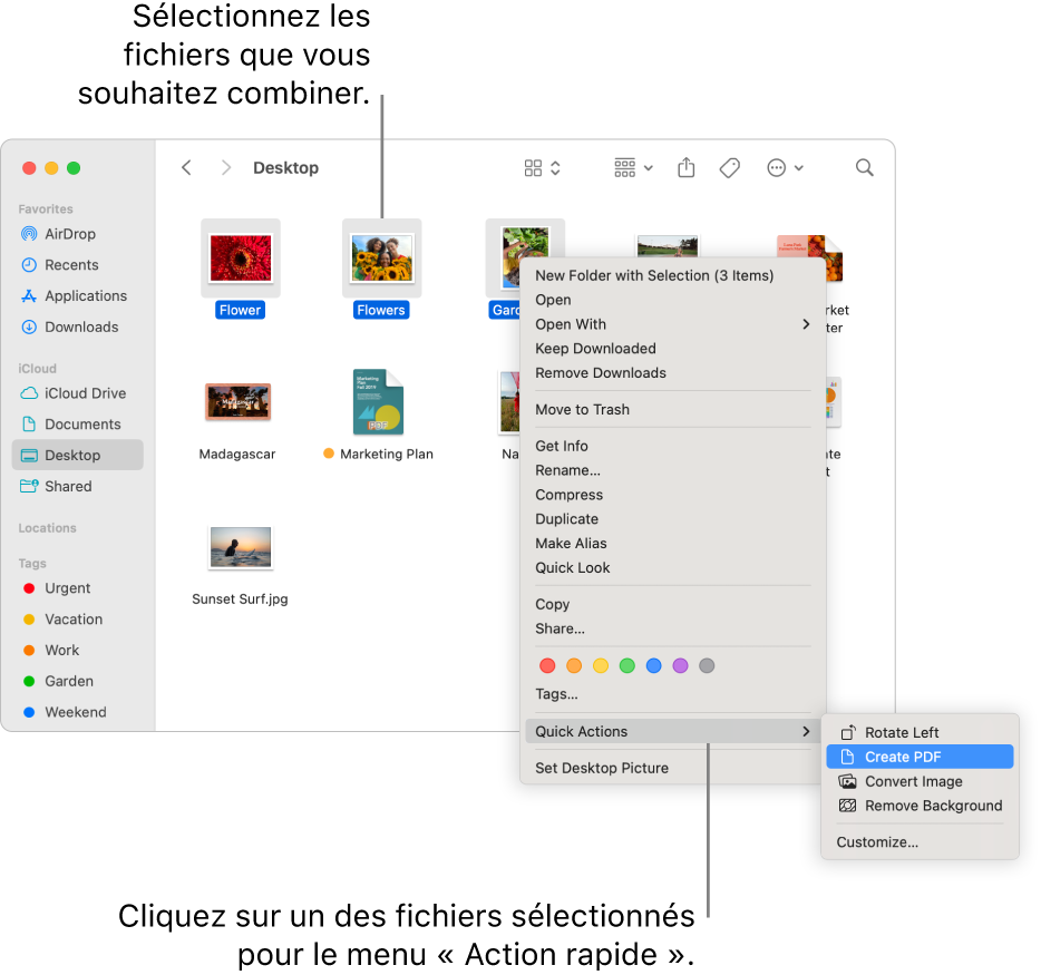 Une fenêtre du Finder contenant des fichiers et des dossiers ; trois fichiers sont sélectionnés et l’option « Créer un PDF » est surlignée dans le menu « Actions rapides ».