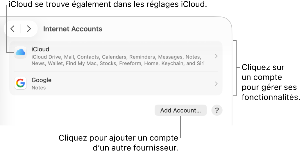 Les réglages « Comptes Internet » avec une liste des comptes configurés sur le Mac.