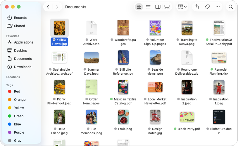 Une fenêtre du Finder avec la barre latérale du Finder sur la gauche. En haut de la fenêtre se trouvent quatre boutons qui modifient la présentation des éléments dans la fenêtre, ainsi que des boutons supplémentaires pour les organiser et les partager.