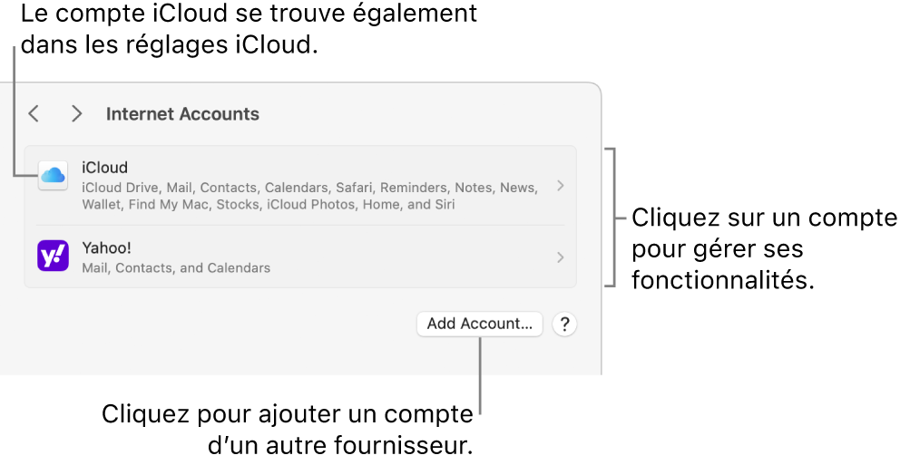 Les réglages « Comptes Internet » avec une liste des comptes configurés sur le Mac.