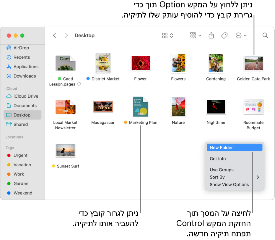 חלון Finder המכיל קבצים ותיקיות. בתפריט הקיצורים, האפשרות ״תיקיה חדשה״ מסומנת.
