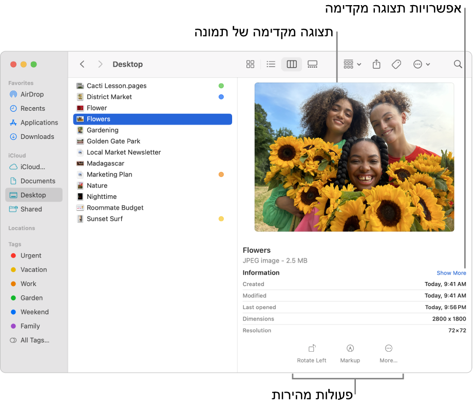 חלון של ה‑Finder המציג את סרגל הצד של ה‑Finder מימין, וקובץ תמונה נבחר באמצע החלון. משמאל, החלונית ״תצוגה מקדימה״ מציגה איך התמונה נראית, מתחת לה ניתן לראות את פרטי התמונה ובחלק התחתון מוצגים כפתורי ״פעולות מהירות״.