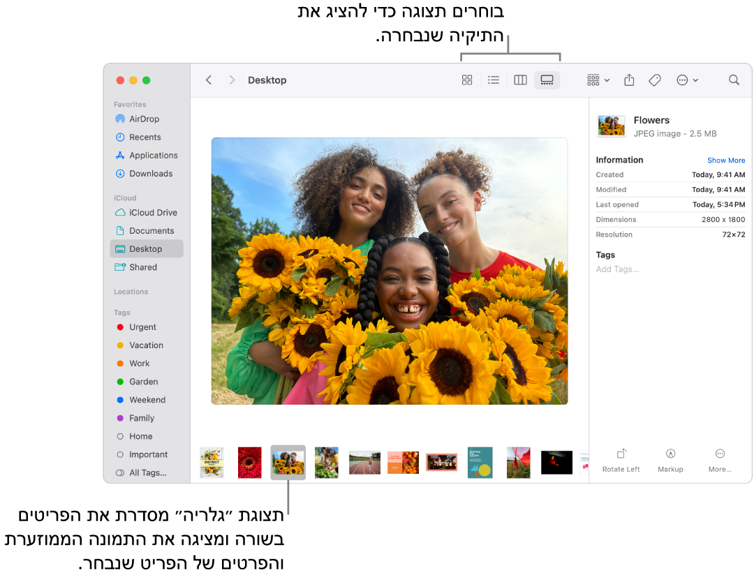 חלון של ה‑Finder המציג את סרגל הצד של ה‑Finder מימין, וקובץ תמונה נבחר בתחתית החלון. במרכז, החלונית ״תצוגה מקדימה״ מציגה איך התמונה נראית, כאשר פרטי התמונה וכפתורי ״פעולות מהירות״ מוצגים בצד.