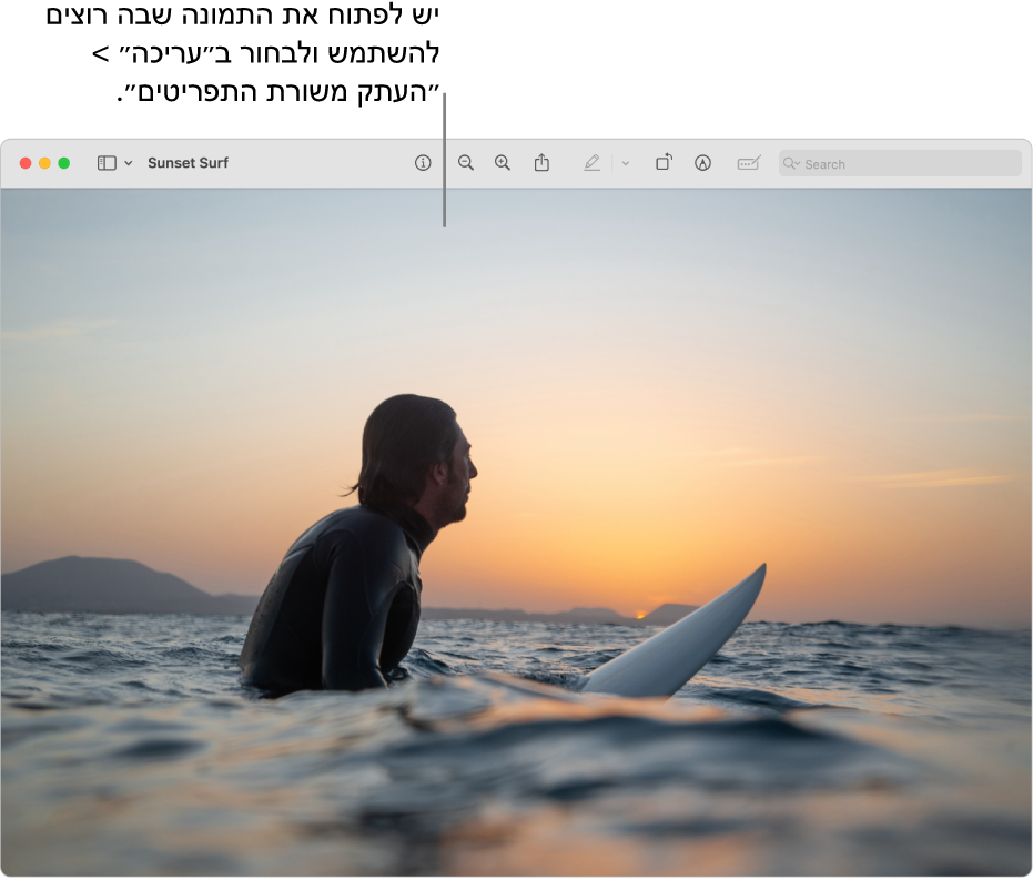 היישום ״תצוגה מקדימה״ עם תמונה המיועדת להעתקה.