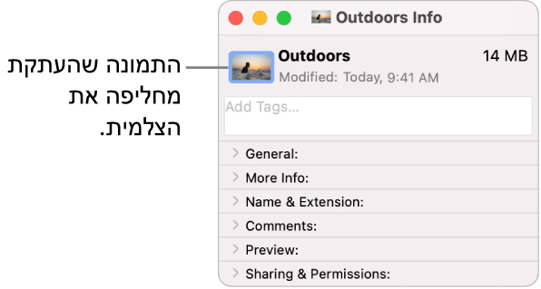 החלון ״פרטים״ של תיקיה, מציג את הצלמית הגנרית מוחלפת בתמונה.