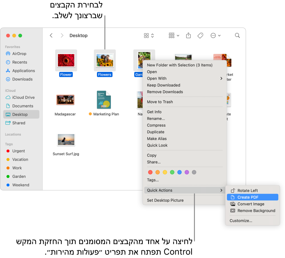 חלון של ה‑Finder עם קבצים ותיקיות, כאשר שלושה קבצים נבחרים והאפשרות ״צור PDF״ מסומנת בתפריט ״פעולות מהירות״.