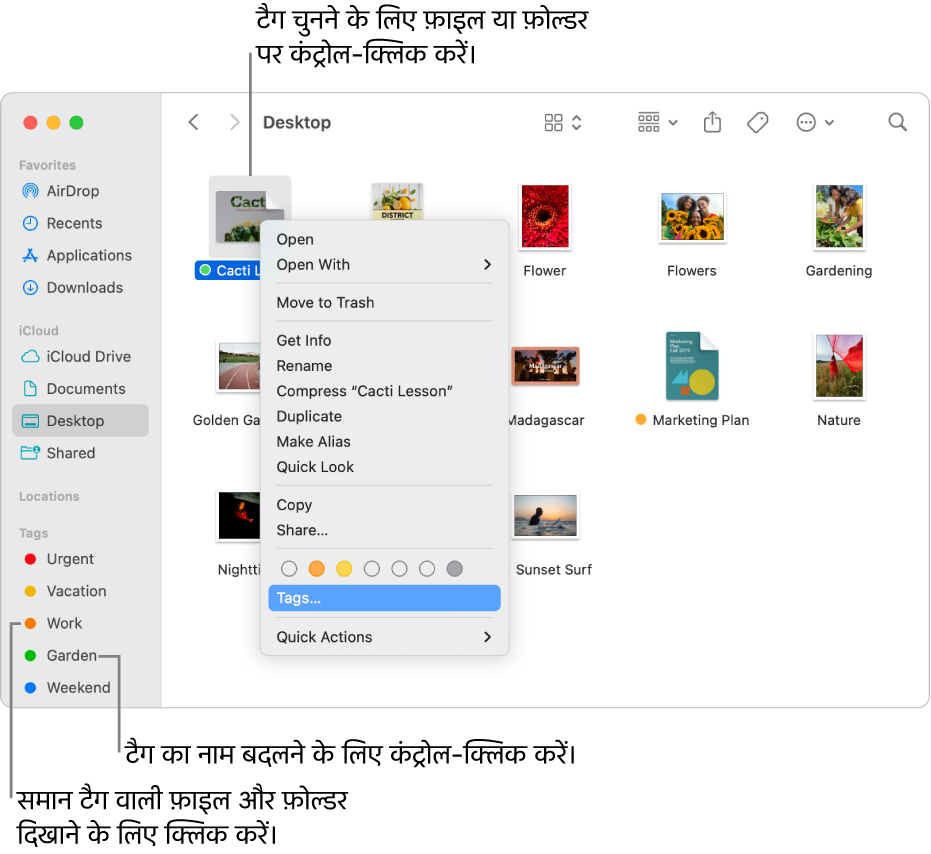 चुनी गई फ़ाइल के साथ, टैग की गई फ़ाइलों और फ़ोल्डरों वाली Finder विंडो। शॉर्टकट मेनू में, टैग के लिए रंगों के विकल्प मौजूद हैं और टैग चिह्नांकित किए गए हैं।