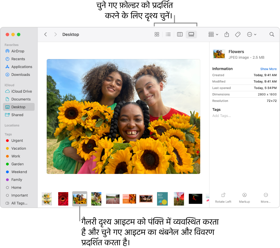 एक Finder विंडो, जो बाईं ओर Finder साइडबार दिखाता है और विंडो के निचले हिस्से में चयनित इमेज फ़ाइल दिखाता है। मध्य में, प्रीव्यू पेन दिखाता है कि इमेज कैसी दिखाई पड़ती है, उसके नीचे इमेज का विवरण और दाईं ओर त्वरित क्रिया बटन।