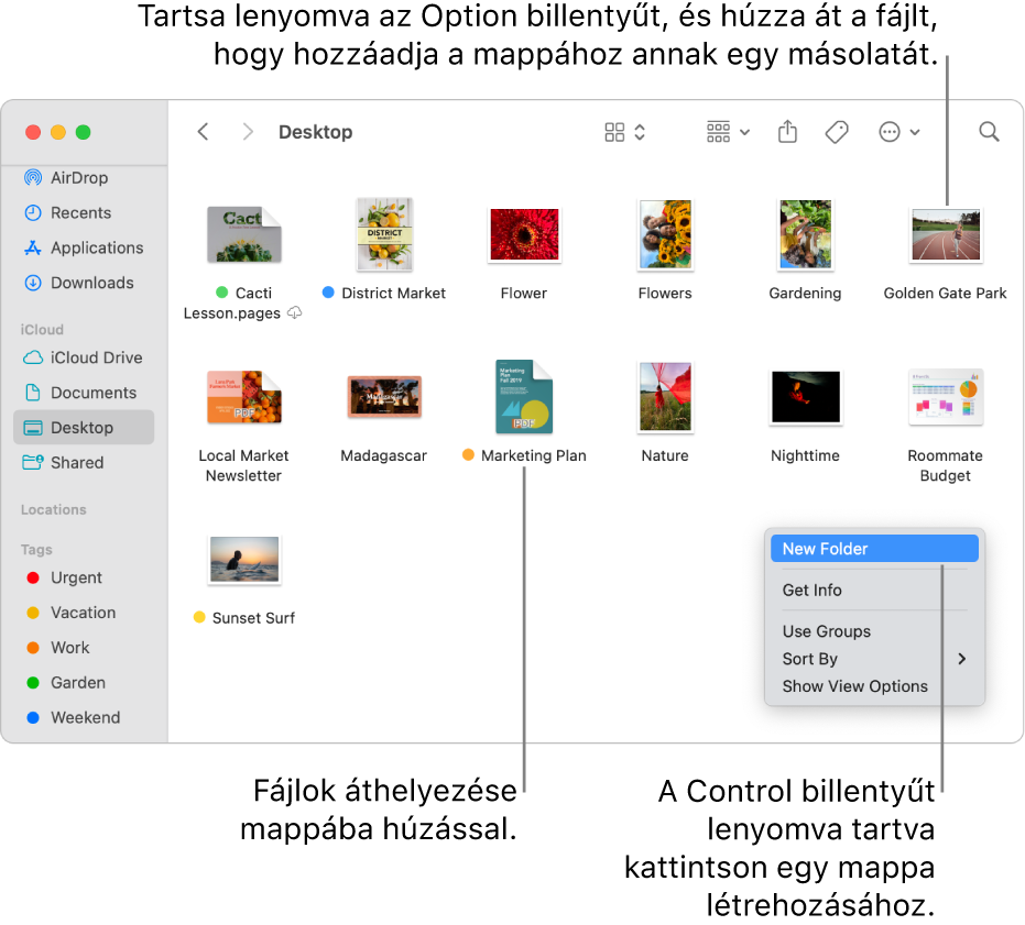 Egy fájlokat és mappákat tartalmazó Finder-ablak. A parancsmenüben az Új mappa parancs van kijelölve.
