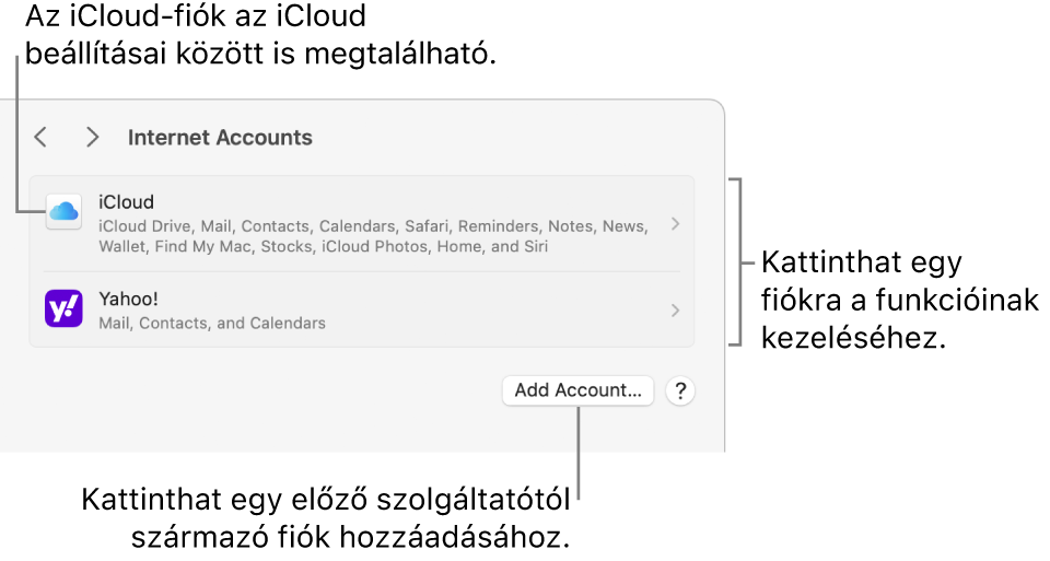 Az Internetes fiókok beállítások a Macen beállított fiókok listájával.