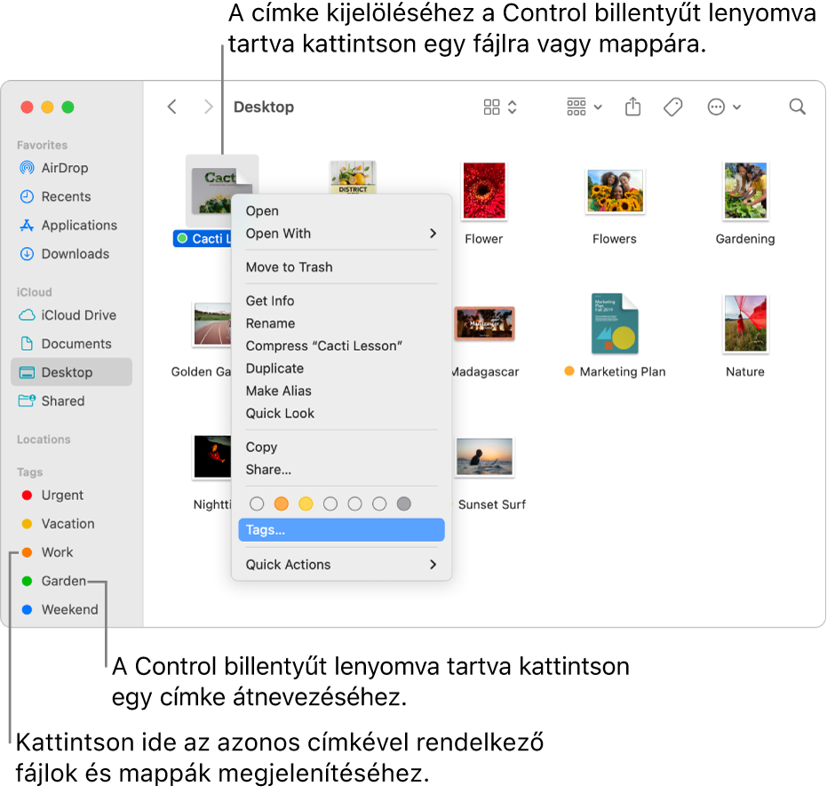 Egy címkékkel ellátott fájlokat és mappákat tartalmazó Finder-ablak, amelyben egy fájl ki van választva. A parancsmenüben színlehetőségek állnak rendelkezésre a címkézéshez, és a Címkék lehetőség van kijelölve.