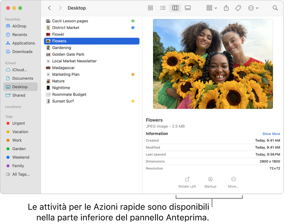 La parte inferiore del pannello Anteprima, con i pulsanti “Azioni rapide”.