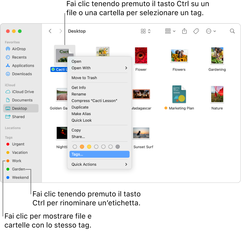Una finestra del Finder con file e cartelle con tag e un file selezionato. Nel menu delle abbreviazioni, ci sono tag di vari colori ed è evidenziata la parola Tag.