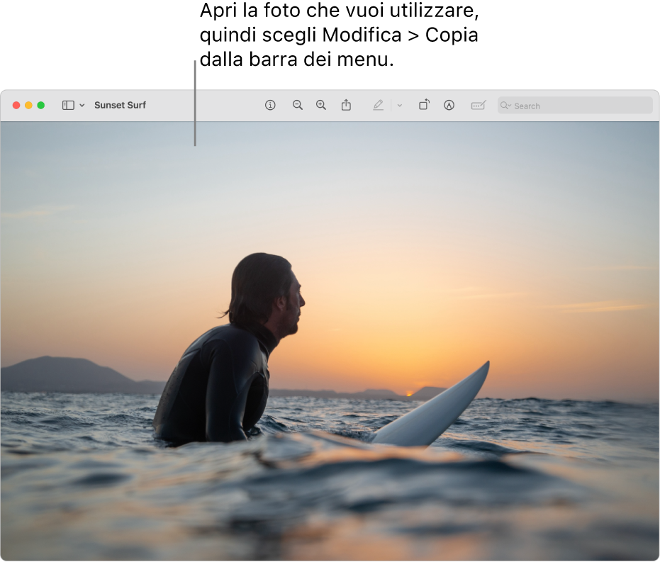 L’app Anteprima che mostra un’immagine da copiare.