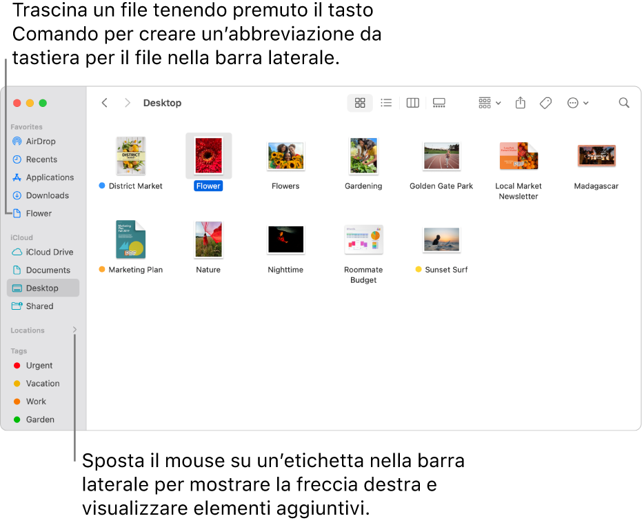 Alla destra di Posizioni, nella barra laterale del Finder, è presente una freccia su cui fare clic per mostrare elementi aggiuntivi. Nella finestra del Finder sulla destra, c’è un file selezionato e un’abbreviazione al file nella barra laterale, sotto Preferiti.