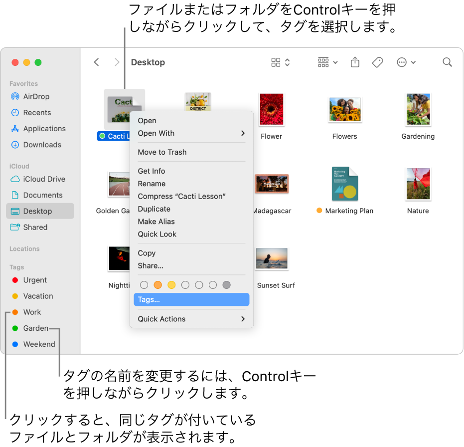タグ付けされたファイルとフォルダが含まれているFinderウインドウ。1個のファイルが選択されています。ショートカットメニューにタグのカラー選択肢があり、「タグ」が強調表示されています。