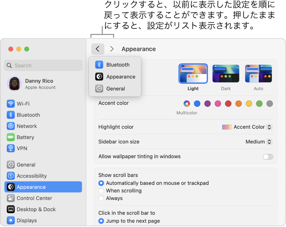 「システム設定」ウインドウ。「戻る」ボタンの下に最近表示した設定が表示されています。