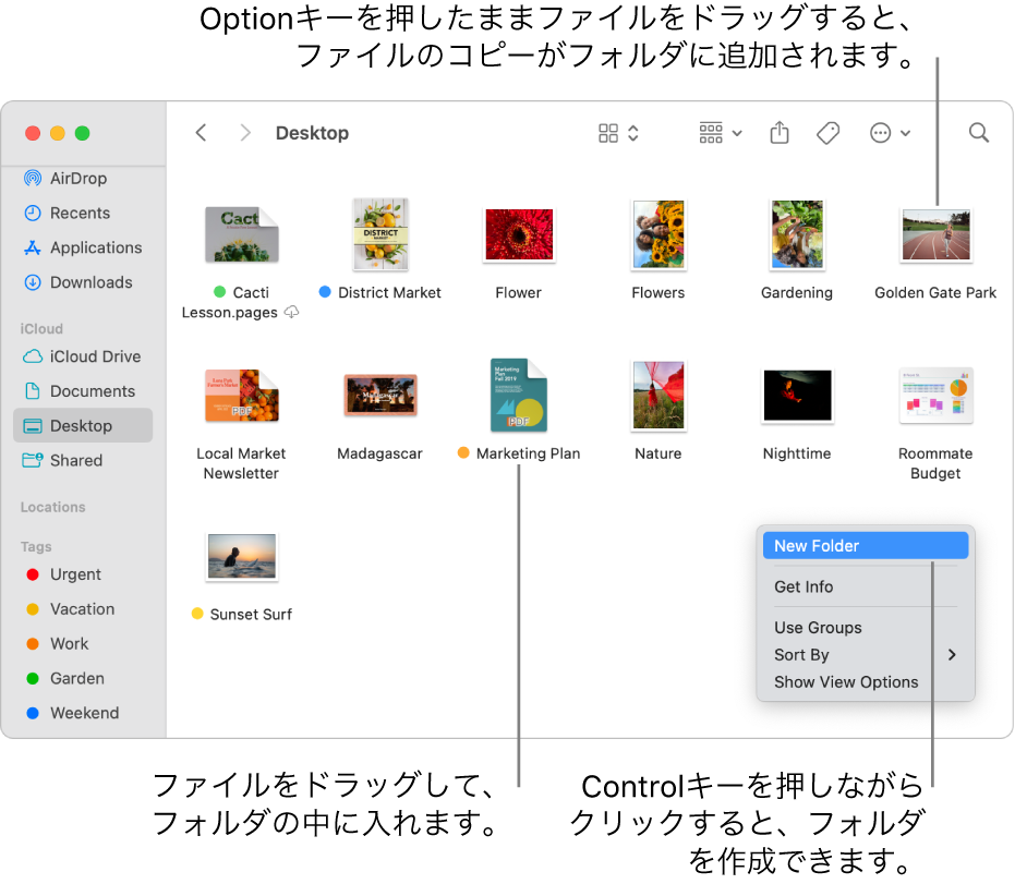 ファイルとフォルダが含まれているFinderウインドウ。ショートカットメニューで「新規フォルダ」が強調表示されています。