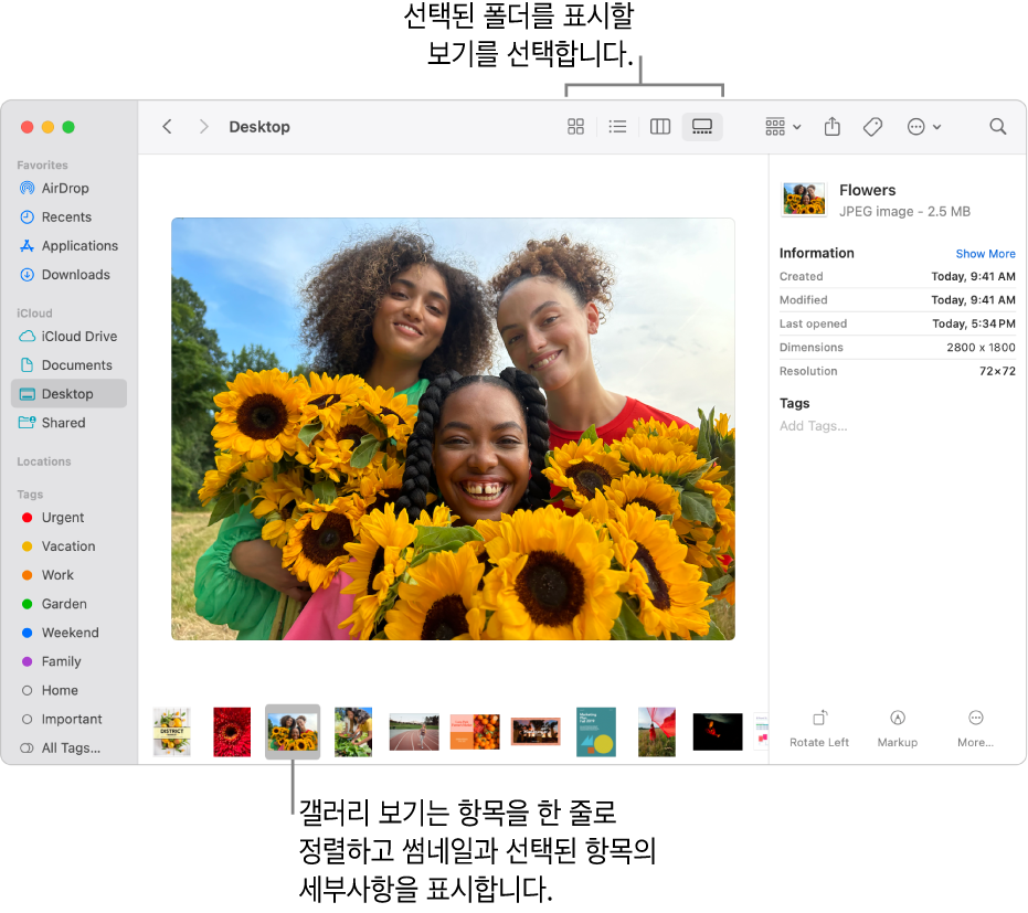 왼쪽에는 Finder 사이드바가 표시되고 하단에는 선택된 이미지 파일이 있는 Finder 윈도우. 중앙에는 이미지가 어떤 모양인지 나타내는 미리보기 패널이 있고, 오른쪽에는 이미지 세부사항 및 빠른 동작 버튼이 있음.
