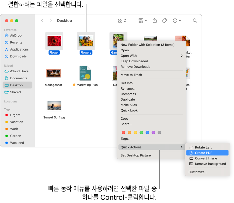 파일과 폴더가 포함된 Finder 윈도우에서 세 개의 파일이 선택되고 빠른 동작 메뉴에서 PDF 생성이 하이라이트됨.