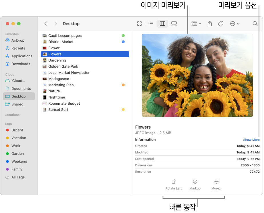 윈도우의 왼쪽에 표시된 Finder 사이드바 및 윈도우 중앙에서 선택된 이미지 파일이 있는 Finder 윈도우. 오른쪽에는 이미지가 어떤 모양인지 나타내는 미리보기 패널이 있고, 그 아래에는 이미지 세부사항이 있고, 하단에는 빠른 동작 버튼이 있음.