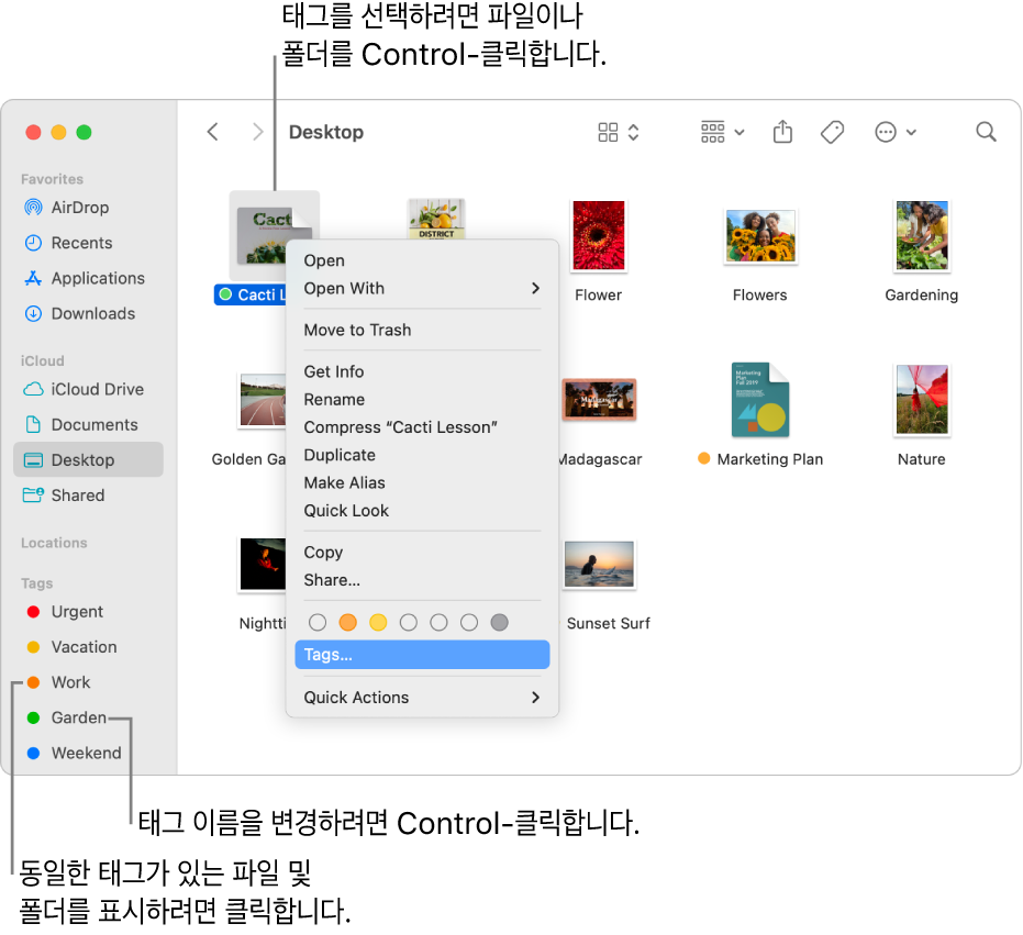 파일이 선택되어 있고 태그된 파일과 폴더가 있는 Finder 윈도우. 단축 메뉴에는 태그에 대한 색상 선택사항이 있고 태그가 하이라이트되어 있음.