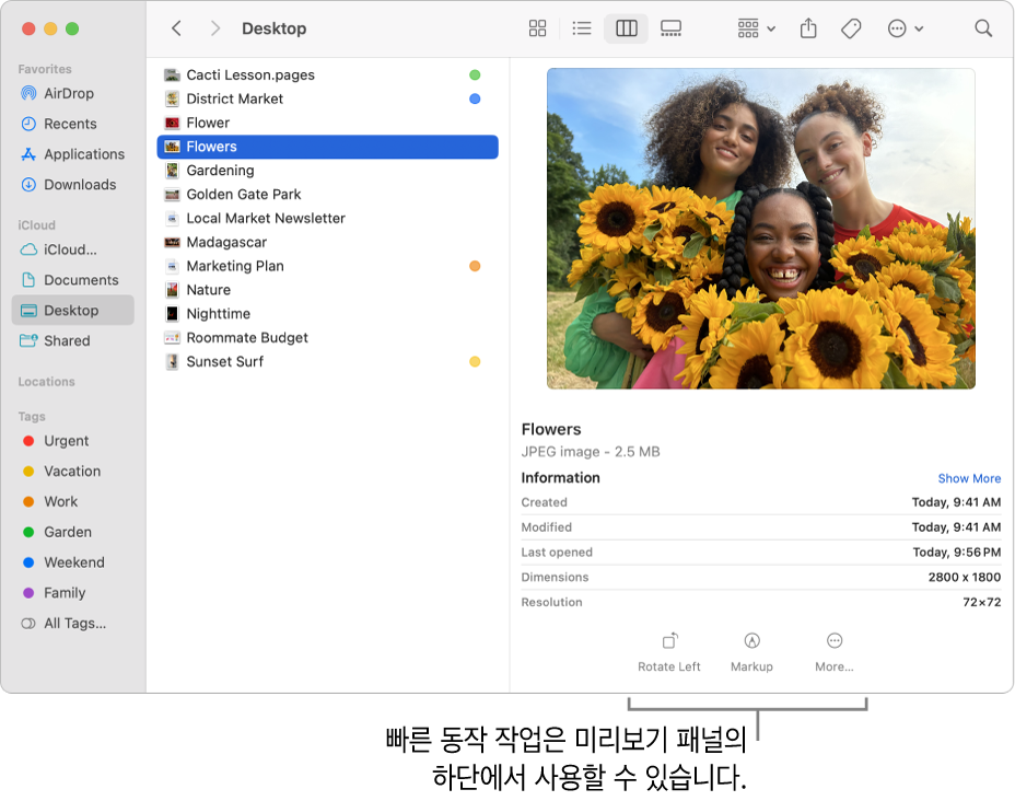 미리보기 패널 하단에 빠른 동작 버튼이 표시됨.