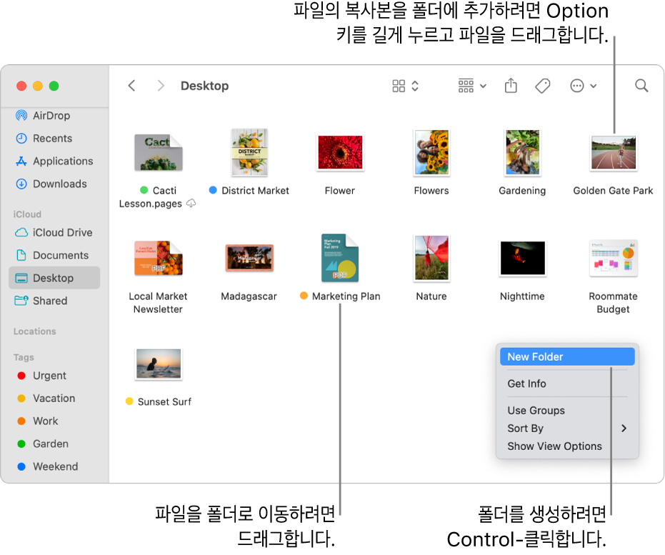 파일과 폴더가 있는 Finder 윈도우. 단축 메뉴에 새로운 폴더가 하이라이트되어 있음.