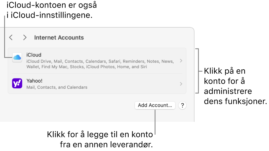 Internettkontoer-innstillingene som viser kontoer som er konfigurert på Macen.