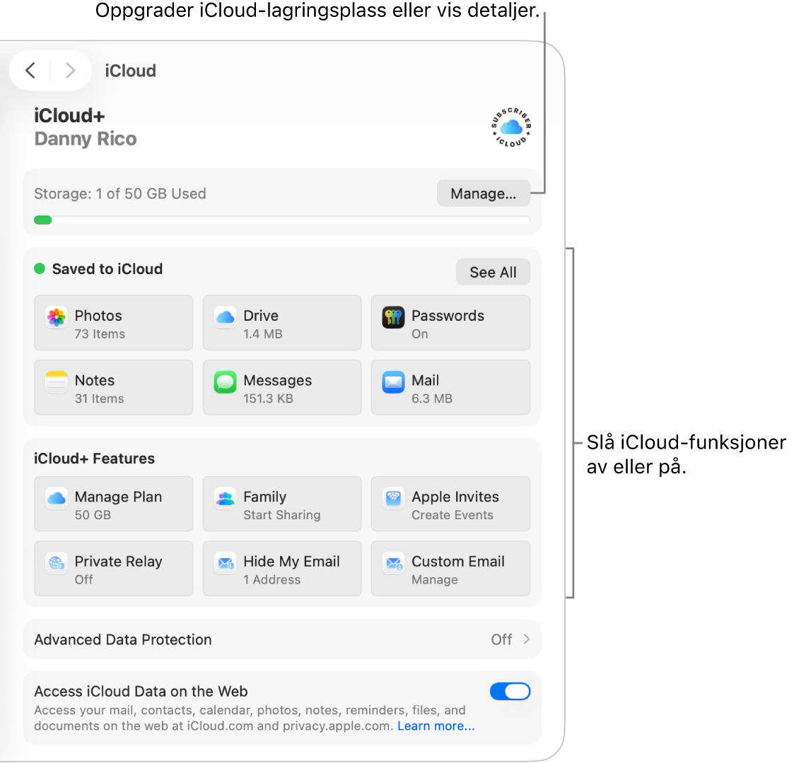 iCloud-innstillinger for de mest brukte funksjonene.