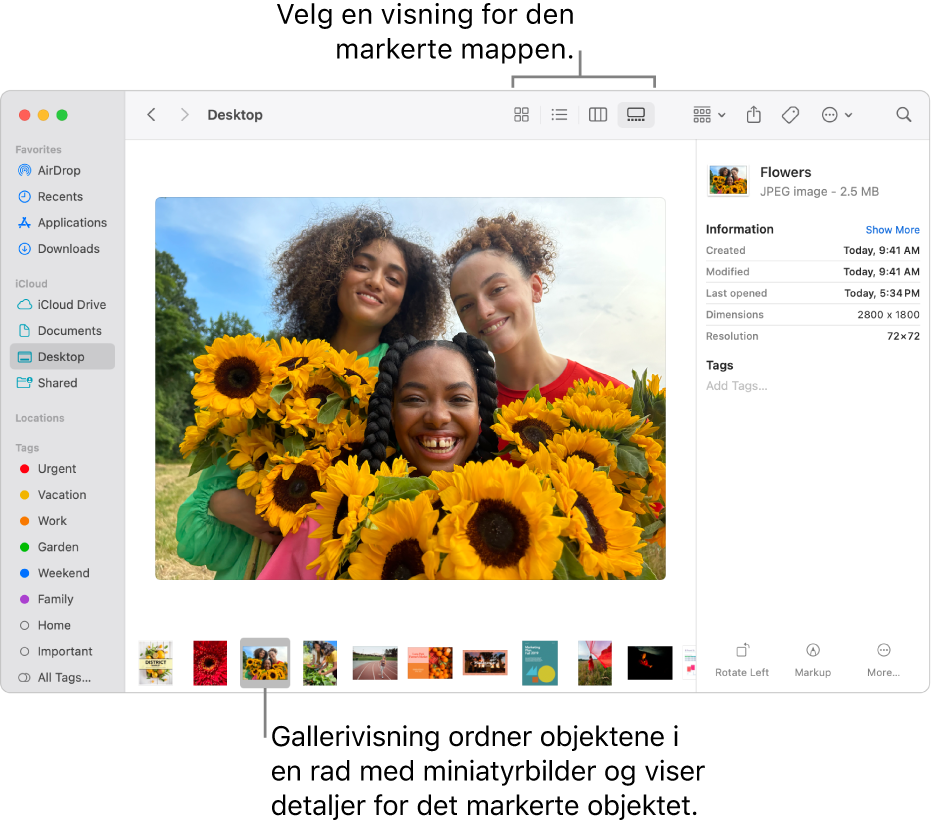 Et Finder-vindu som viser Finder-sidepanelet til venstre og en markert bildefil nederst i vinduet. I forhåndsvisningspanelet i midten kan du se hvordan bildet ser ut, og til høyre vises detaljer om bildet og Hurtighandlinger-knappene.