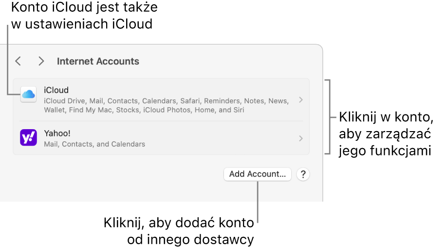 Ustawienia kont internetowych z listą kont skonfigurowanych na Macu.