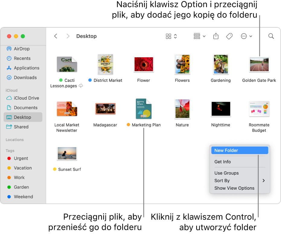 Okno Findera zawierające pliki i foldery. W menu podręcznym wyróżnione jest polecenie Nowy folder.