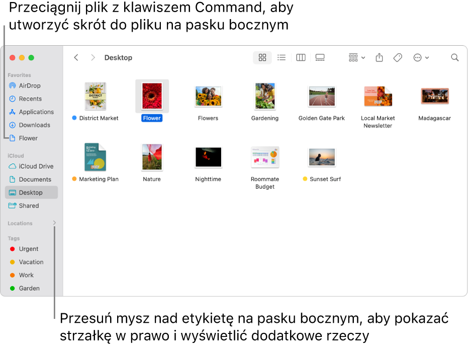 Po prawej stronie etykiety Miejsca na pasku bocznym Findera widoczna jest strzałka. Kliknięcie w nią pokazuje dodatkowe miejsca. Okno Findera z zaznaczonym po prawej plikiem. Na pasku bocznym, pod etykietą Ulubione, widoczny jest skrót do tego pliku.